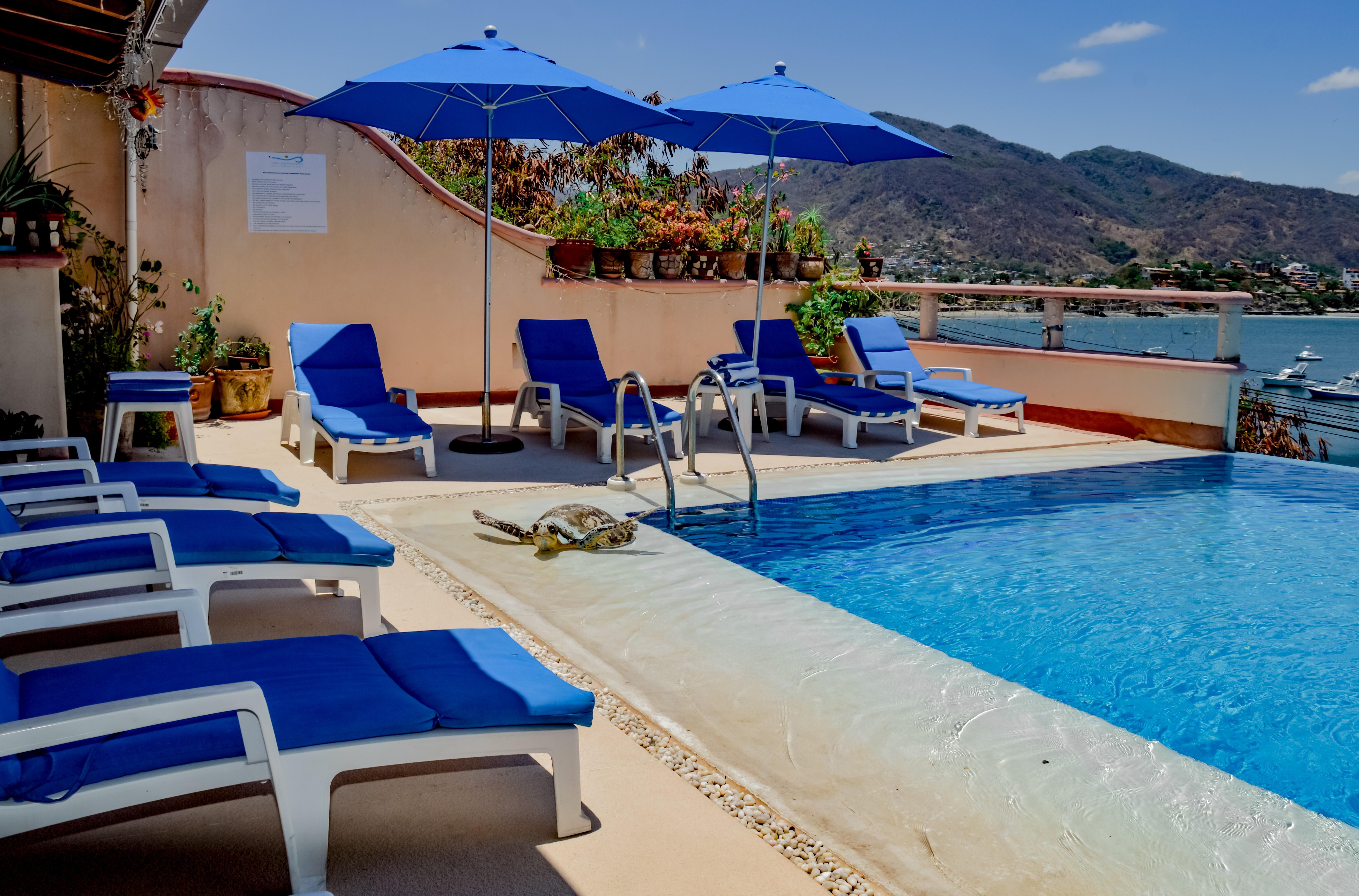 Villa Del Pescador Zihuatanejo Exterior foto
